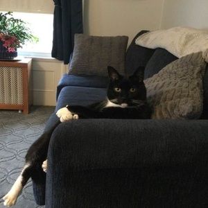 Meet your Posher, Ruth